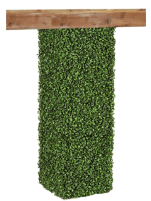 Boxwood Cocktail Table