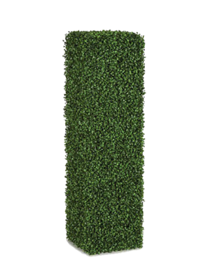 Boxwood Columns