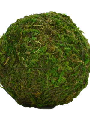 Moss Balls
