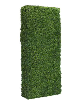 Boxwood Hedge Wall