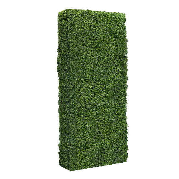 Boxwood Hedge Wall