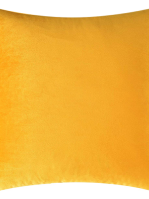 Aspen Velvet Pillow