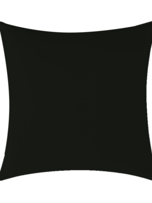 Raven Velvet Pillow