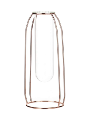 Test Tube Bud Vase -  Tall