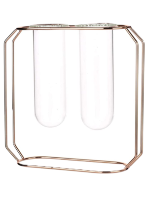 Test Tube Bud Vase -  Twin