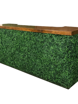 Boxwood Hedge Bar