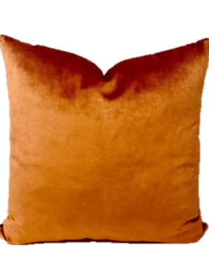 Ginger Velvet Pillow