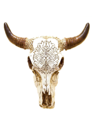 Southwest Skull