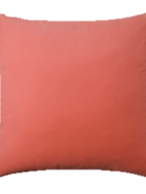 Coral Velvet Pillow