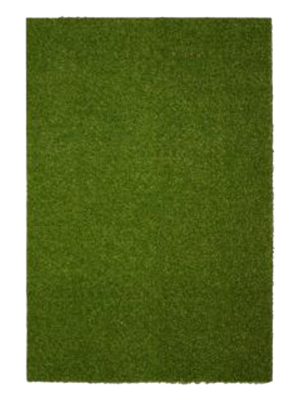 Turf Rug