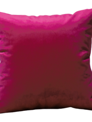 Raspberry Velvet Pillow