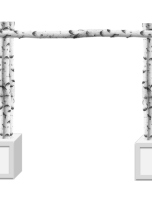 Birch Pole Arch