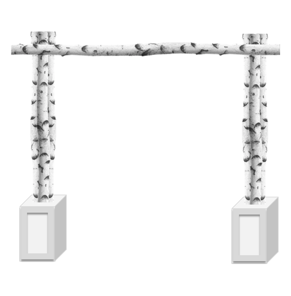 Birch Pole Arch