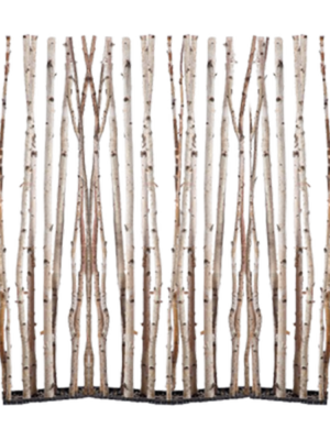 Birch Wall