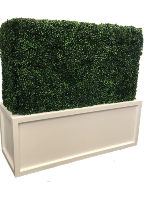 Boxwood Hedge Wall - Mini
