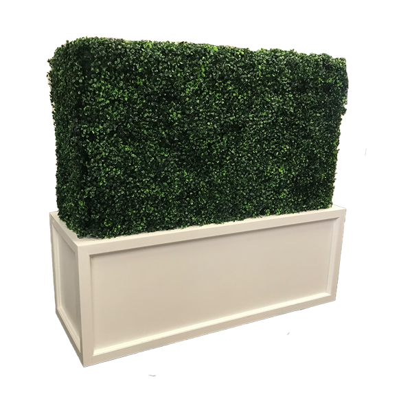 Boxwood Hedge Wall - Mini