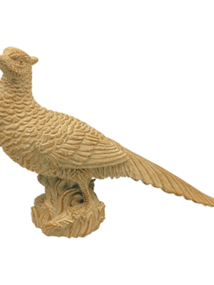 Gold Pheasant