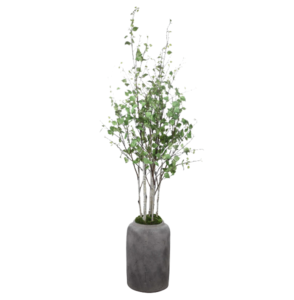 Aspen Planter
